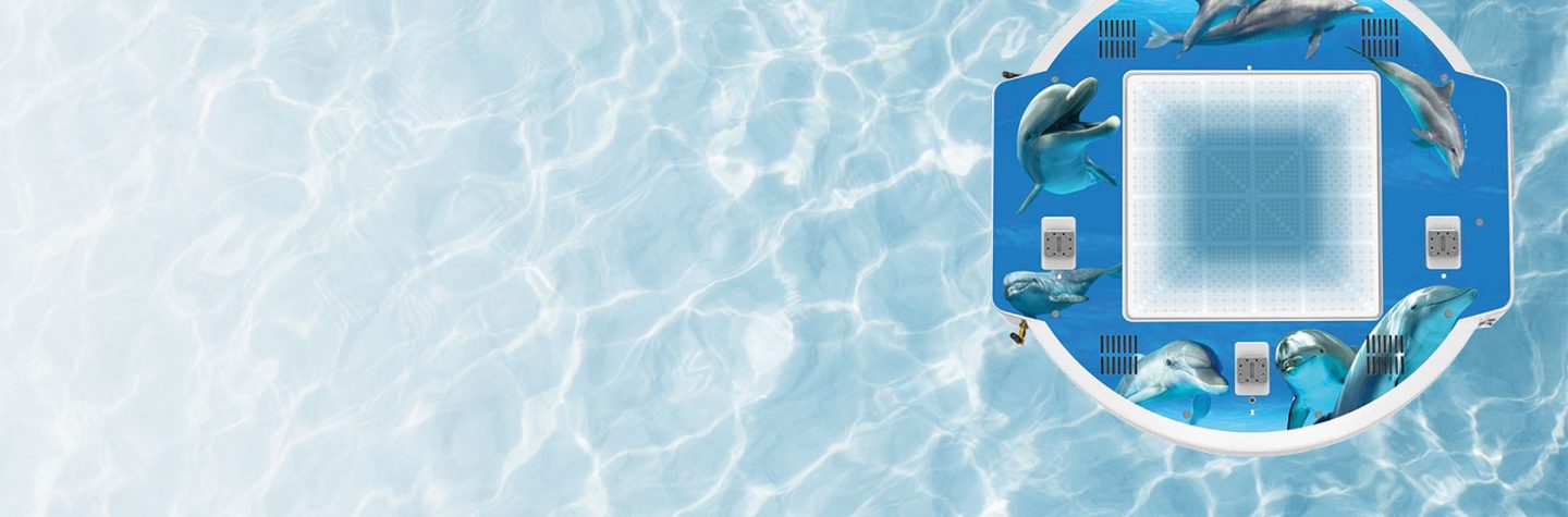 Dolphin banner for OSL website